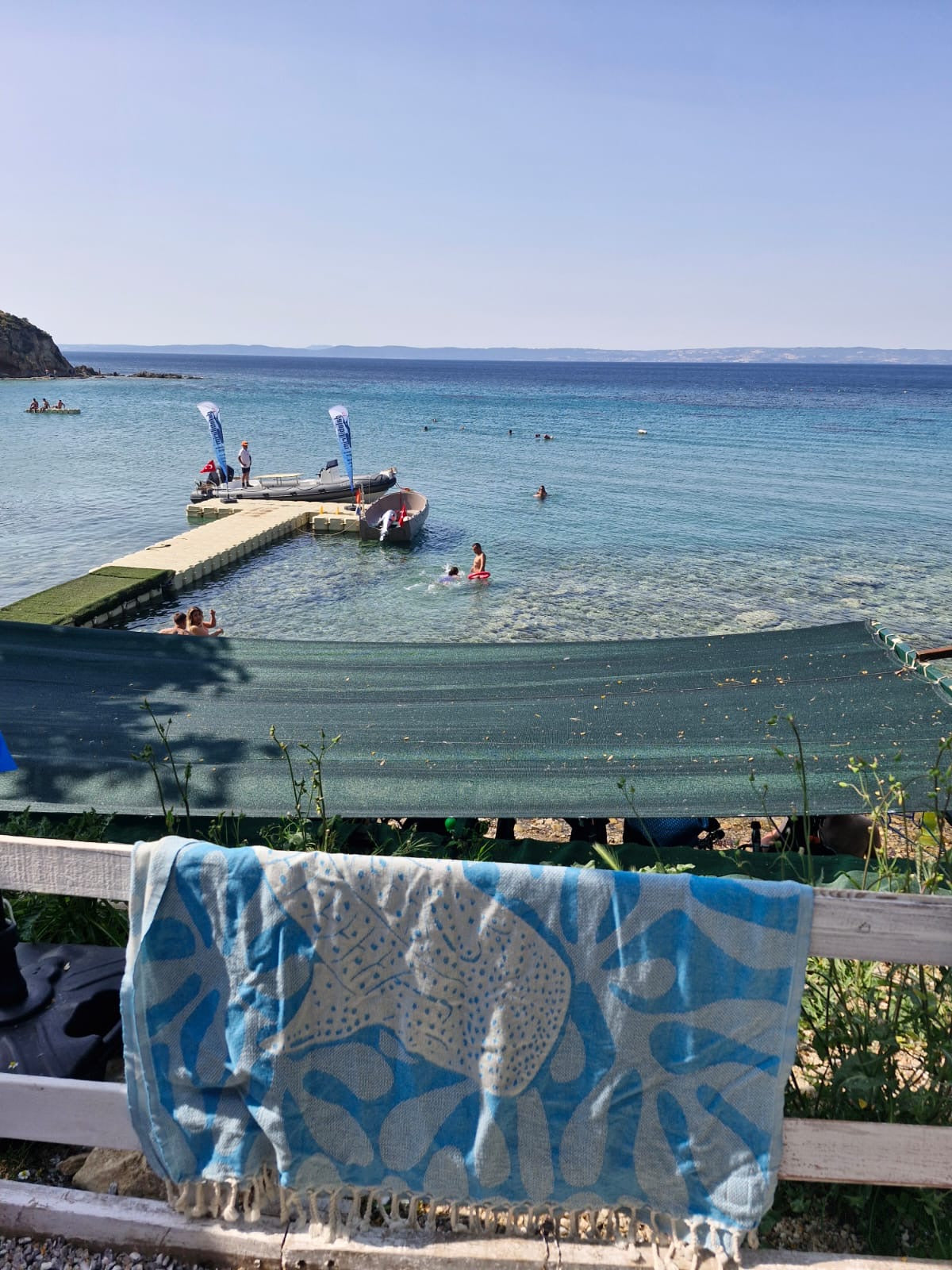 Whale Shark Towel